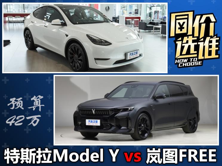 同价选谁：Model Y vs 岚图FREE DNA